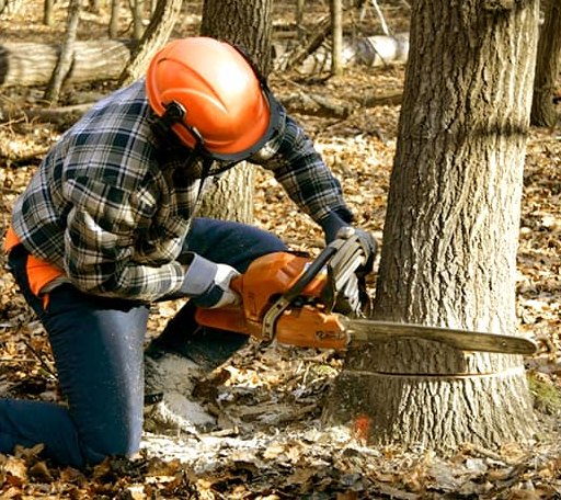 Tree Removal in New Home, TX